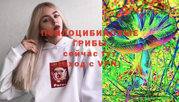 мяу мяу мука Вязьма